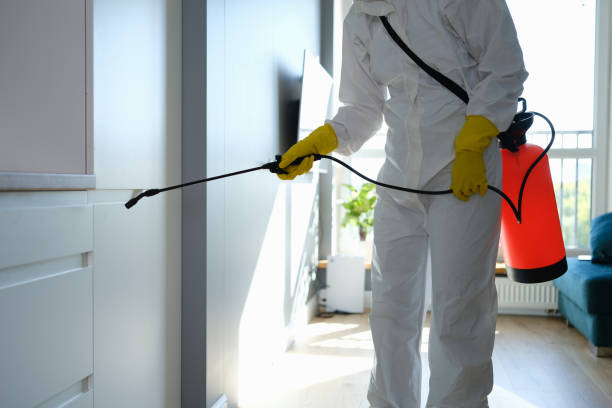 Mold Removal and Inspection in Westville, IN