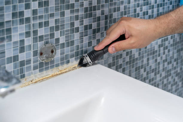 Best Toxic Mold Removal  in Westville, IN